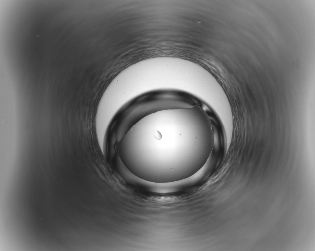 X0000094200429200710261156