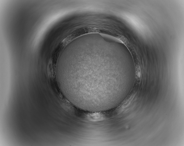 X0000094200431200710261156