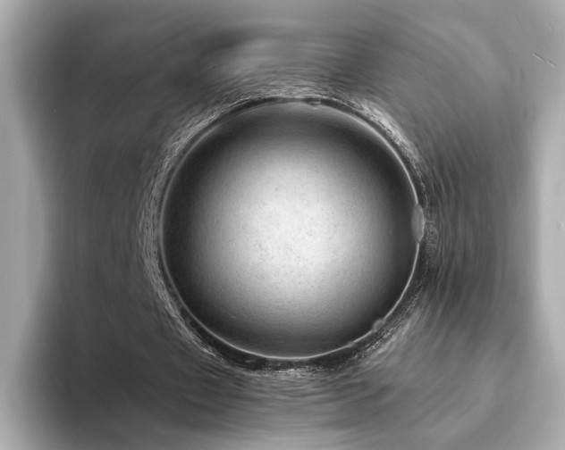 X0000094200433200710261155