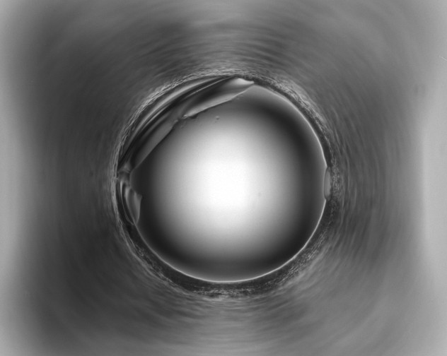 X0000094200434200710261155