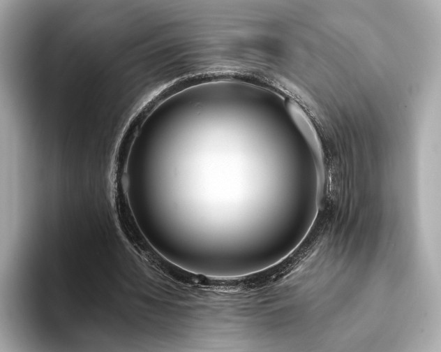 X0000094200436200710261155