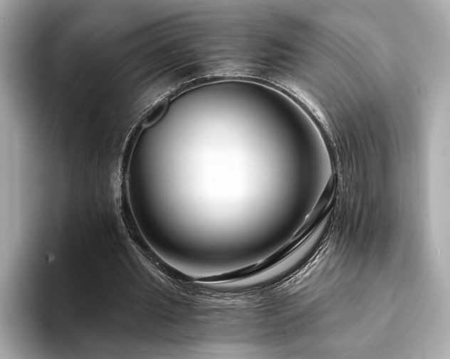 X0000094200437200710261155