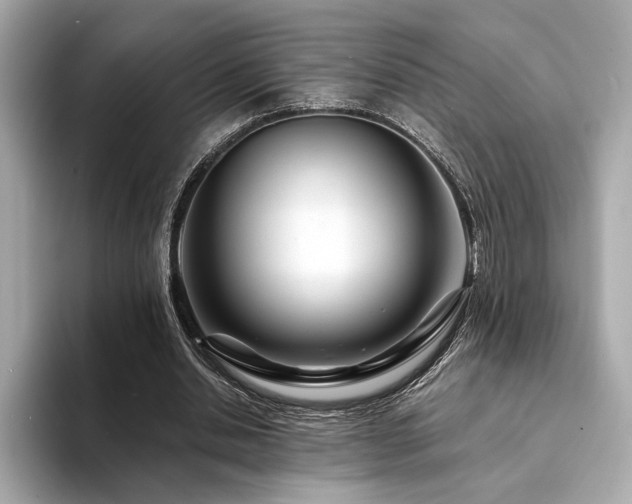 X0000094200438200710261155