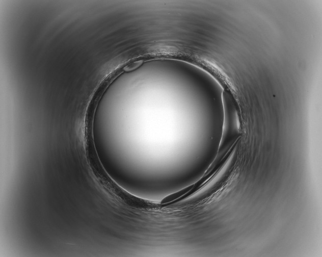 X0000094200439200710261155