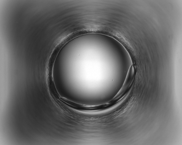 X0000094200440200710261155