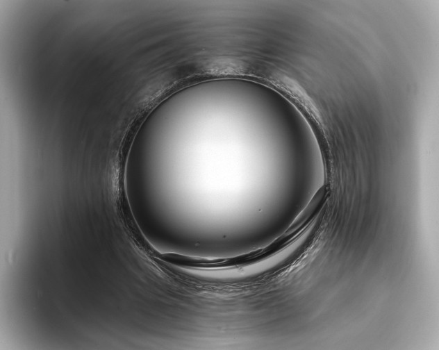 X0000094200441200710261155