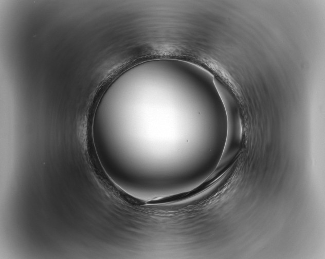 X0000094200442200710261155