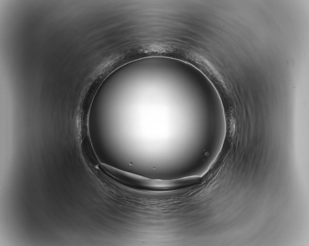X0000094200444200710261155