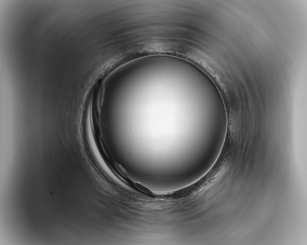 X0000094200445200710261155