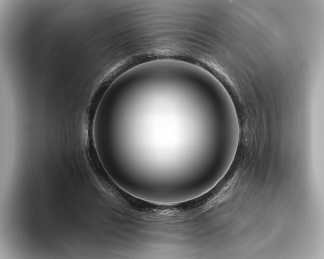 X0000094200446200710261155
