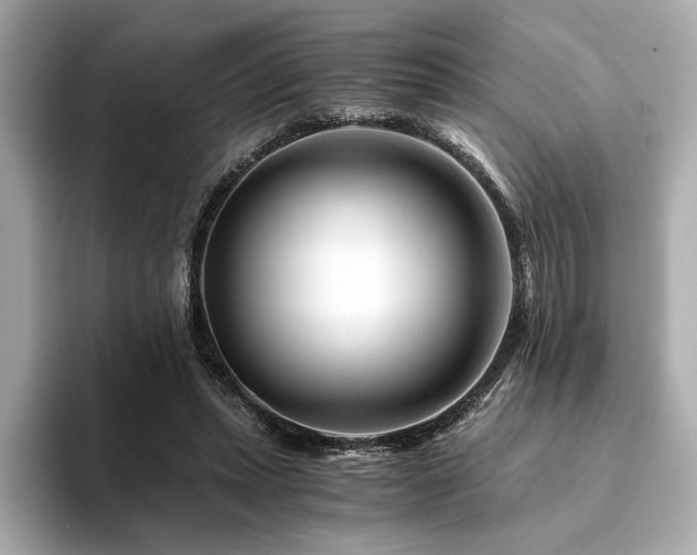 X0000094200447200710261155