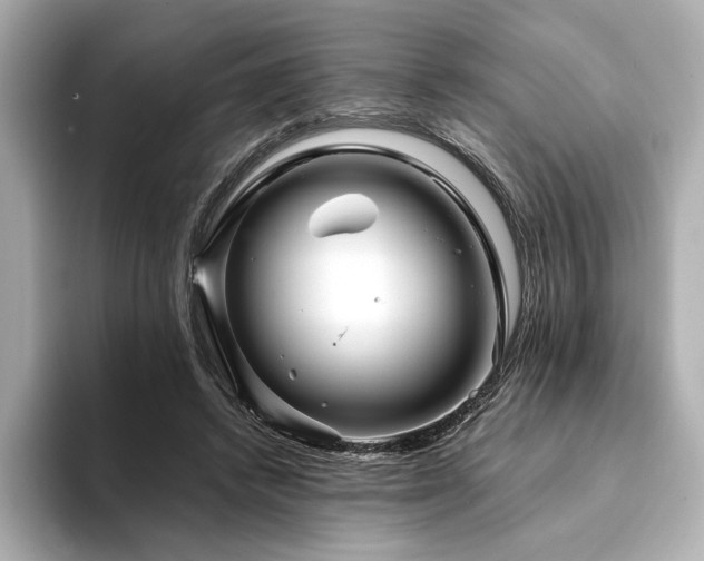 X0000094200448200710261155