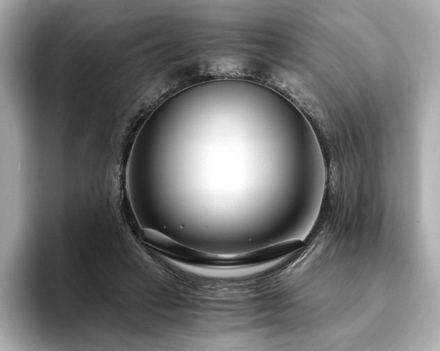 X0000094200449200710261155
