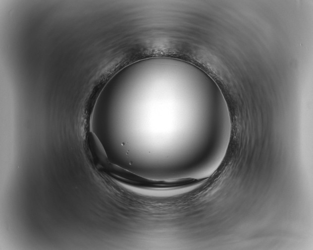 X0000094200450200710261155