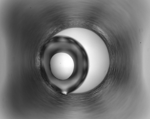 X0000094200452200710261155