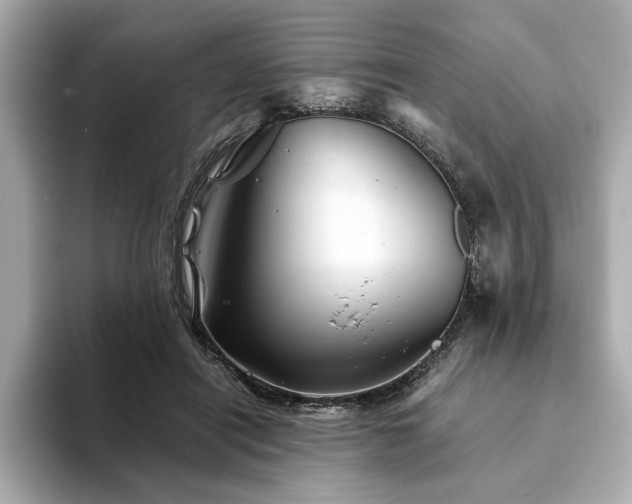 X0000094200454200710261155