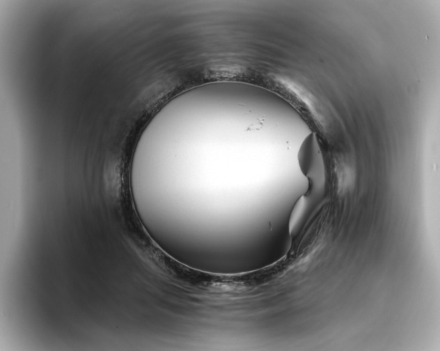 X0000094200455200710261155
