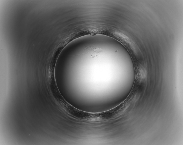 X0000094200456200710261155