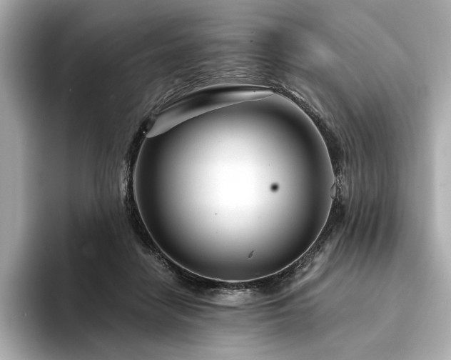 X0000094200458200710261155