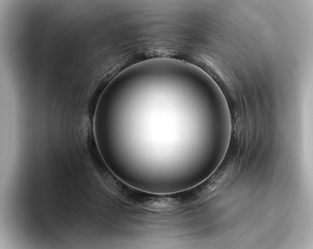 X0000094200459200710261155