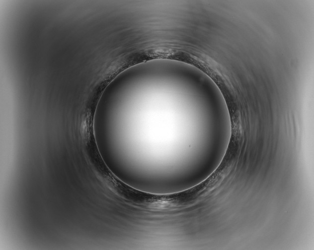 X0000094200460200710261155