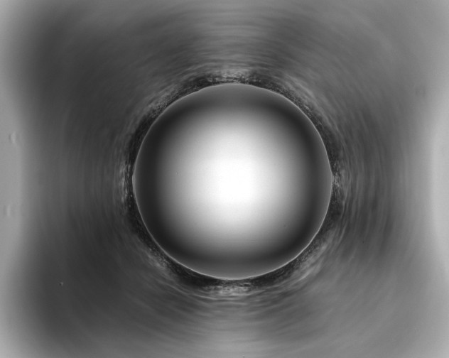 X0000094200462200710261155