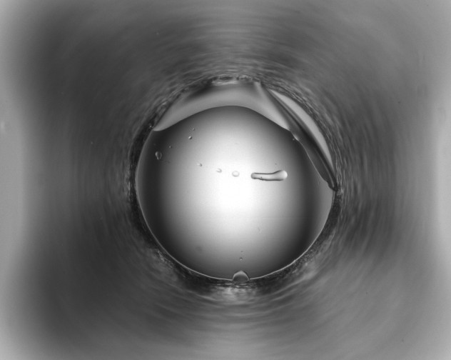 X0000094200466200710261155