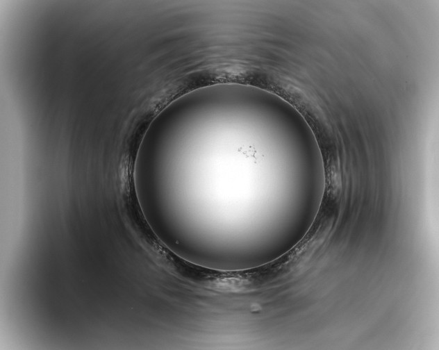 X0000094200468200710261155