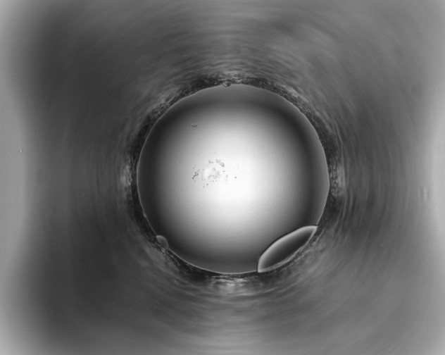 X0000094200472200710261156