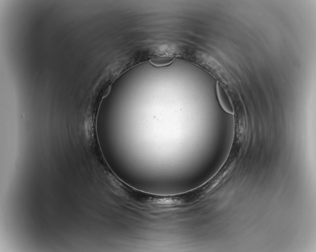 X0000094200473200710261156