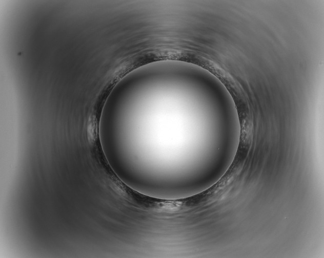 X0000094200474200710261156