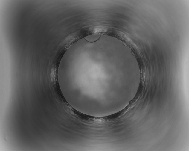 X0000094200475200710261156