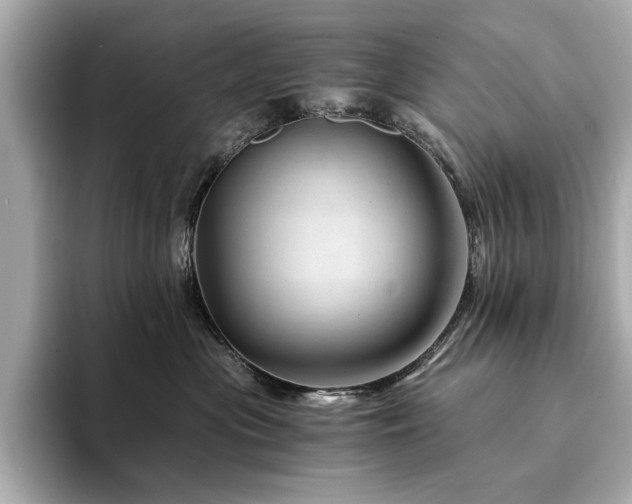 X0000094200477200710261156