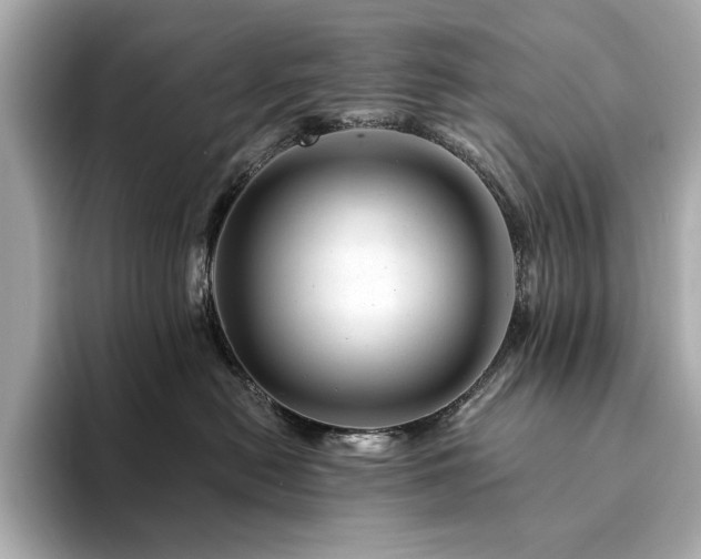 X0000094200478200710261156