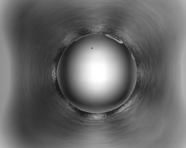 X0000094200479200710261156
