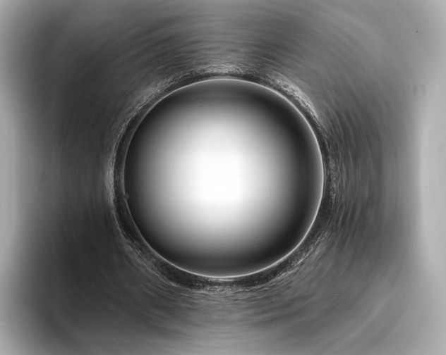 X0000094200482200710261155