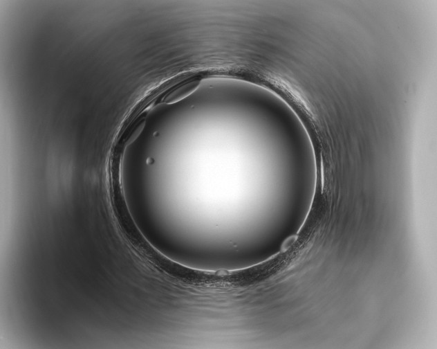 X0000094200483200710261155