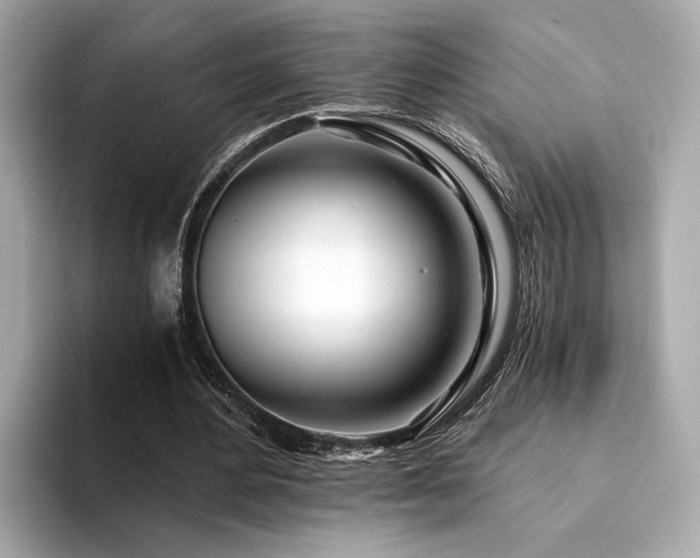 X0000094200484200710261155
