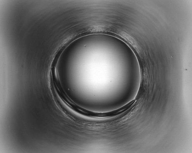 X0000094200485200710261155