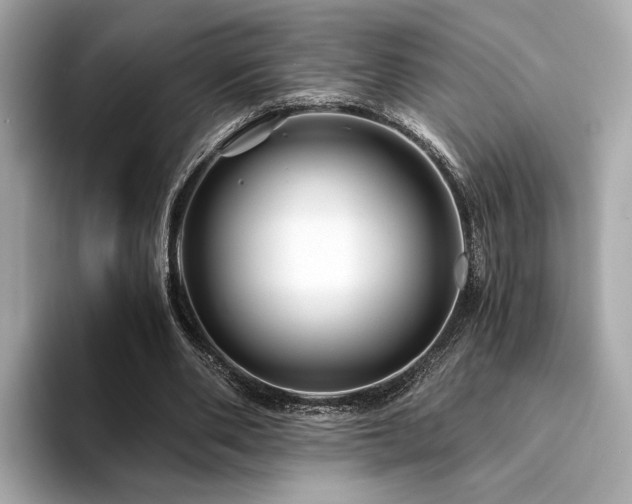X0000094200486200710261155