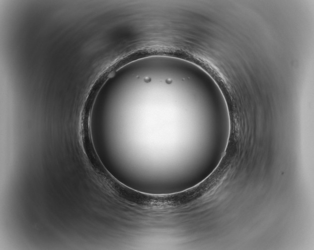 X0000094200487200710261155