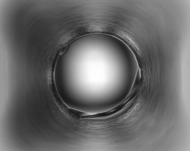X0000094200489200710261155