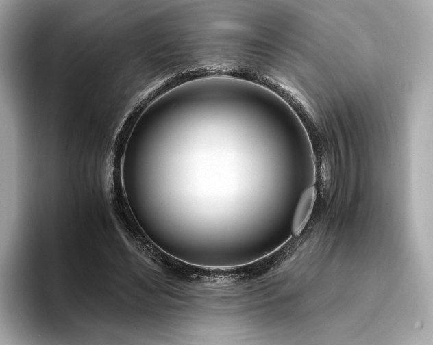 X0000094200492200710261155