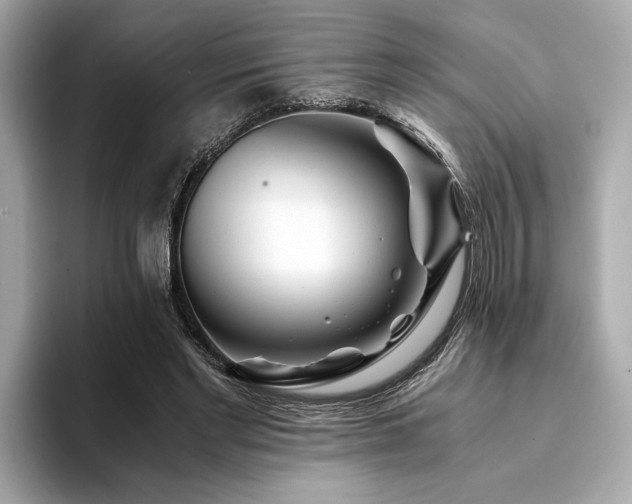 X0000094200493200710261155