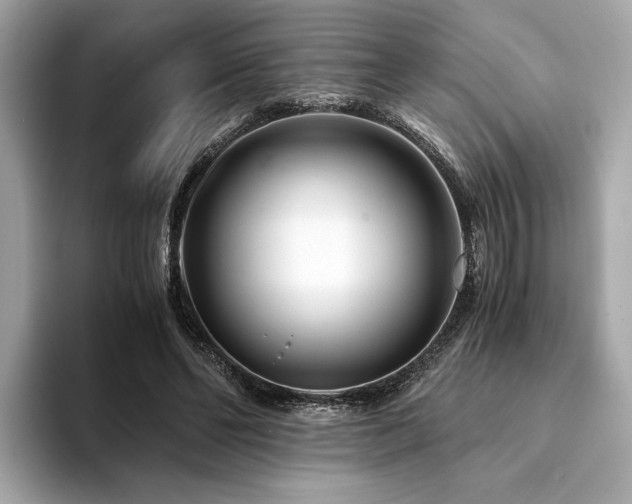 X0000094200494200710261155