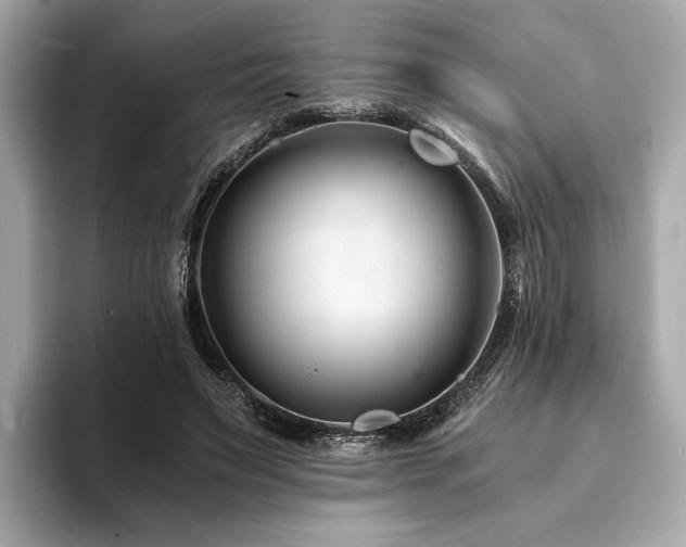 X0000094200495200710261155