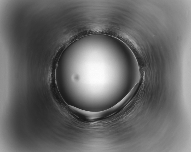X0000094200496200710261155