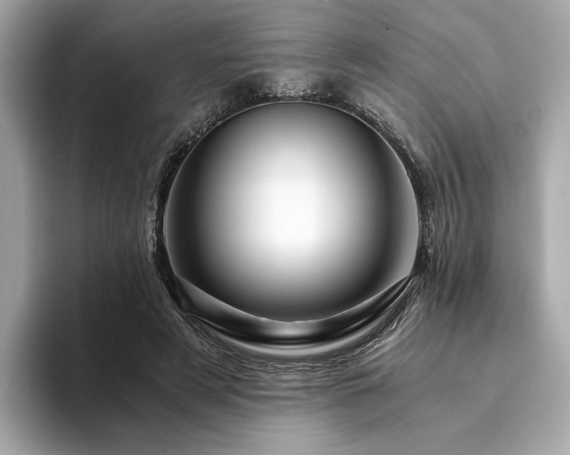 X0000094200497200710261155
