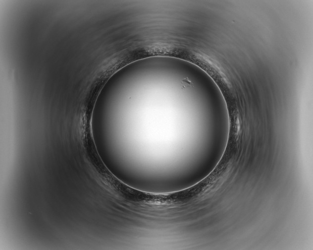 X0000094200498200710261155