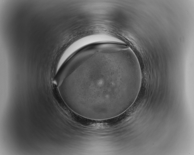 X0000094200499200710261155